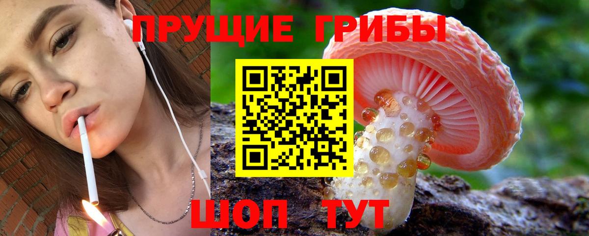 Галлюциногенные грибы MAGIC MUSHROOMS  Вход с VPN  продажа наркотиков  Красноярск 